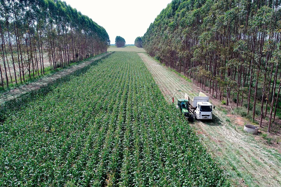 Investimentos para agro sustentável podem atingir R$ 2,6 trilhões